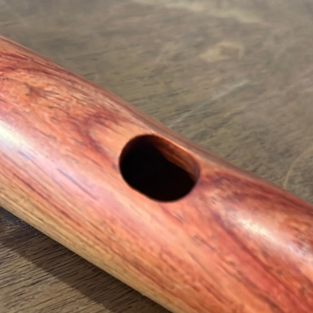 D’Paula Medina Head Joint